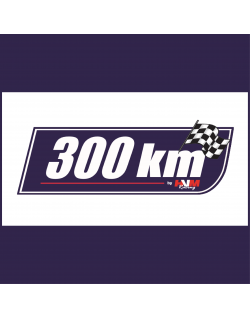 Engagement 300 Km // Dijon Motors Cup 2023