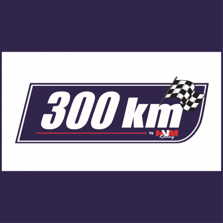 Race entry 300 Km // Dijon Motors Cup 2023