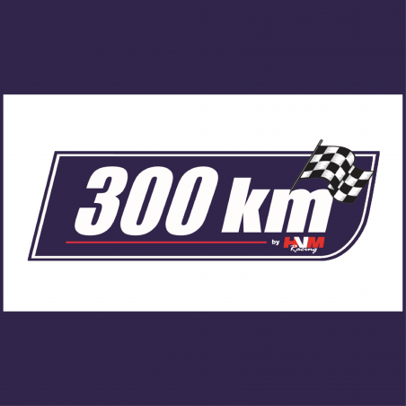 Engagement 300 Km // Dijon Motors Cup 2024